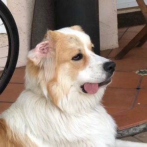 Meet your Posher, Emma